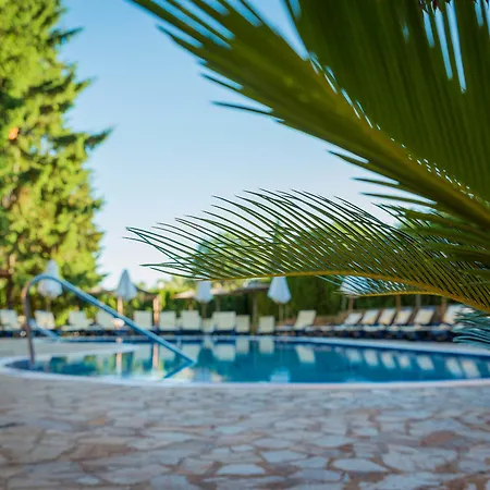 Отель Sunrise Golden Sands