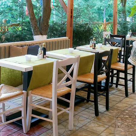 Отель Sunrise Golden Sands